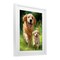 Stupell Industries Father & Son Labrador Framed Print Under Glass, design by Momart